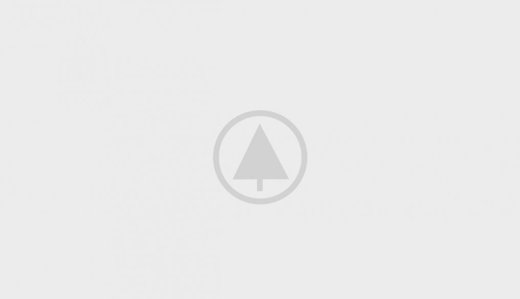 Wood-Gallery-Placeholder-5 wood-gallery-placeholder-5