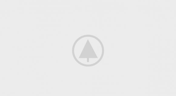 Wood-Portfolio-Placeholder wood-portfolio-placeholder