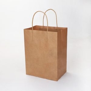 recyclable kraft paper bags reusable shopping paper123 Single Product
